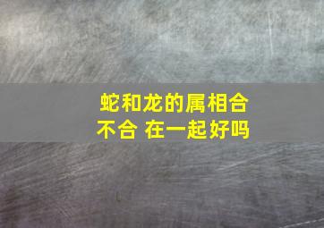 蛇和龙的属相合不合 在一起好吗